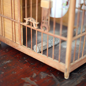 bird cage- 鳥籠 