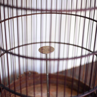 bird cage- 鳥籠 