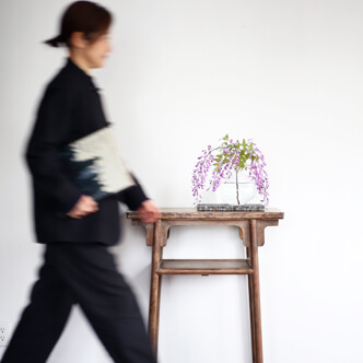 small console - 小楠桌子 